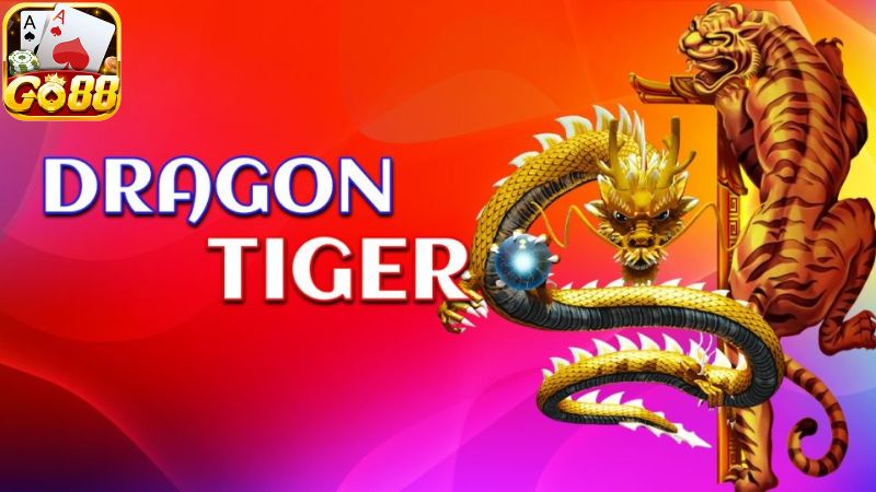 Mẹo cá cược Dragon Tiger trực tuyến hiệu quả